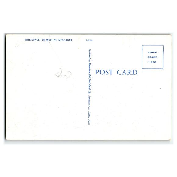 Vintage Linen Postcard - Bear Cub Drinking Bottle "Lunch Time in Maine" - Picture 2 of 2